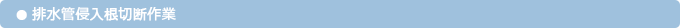 rǐNؒf